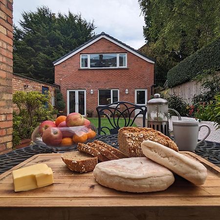 Bt 9 Granny Flat & Walled Garden Belfast Exteriér fotografie