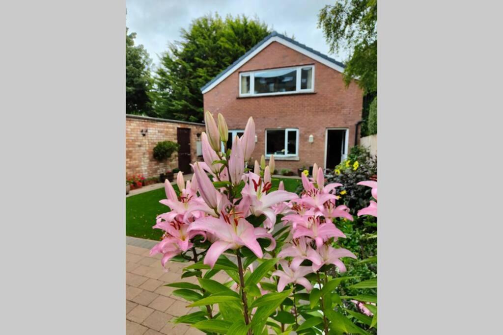 Bt 9 Granny Flat & Walled Garden Belfast Exteriér fotografie